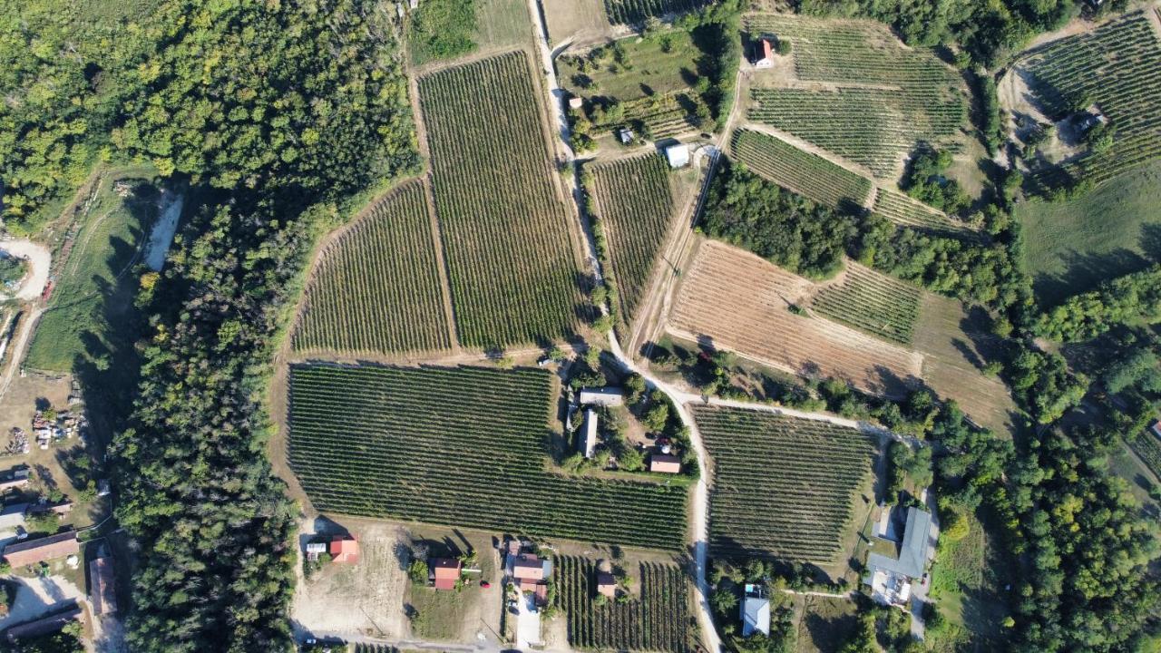 Lelle Vineyard Cottages Balatonlelle Εξωτερικό φωτογραφία